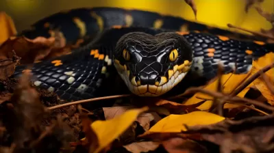 黃黑相間，三角頭型，鱗片顯眼：Nikon D850與85mm鏡頭拍攝出的一張捕捉到多帶蛇獨(dú)特特征的照片